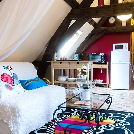Apartment Pied A Terre Centre Dijon